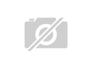 4 Lakenfelder Hähne kostenlos abzugeben